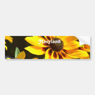 Maryland State Flower Bumper Sticker