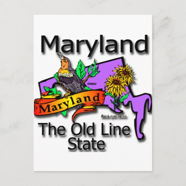 Maryland The Old State Line Bird Postcard (Front)