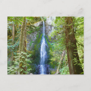 Marymere Falls I at Olympic National Park Postcard