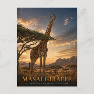 Masai Giraffe Savanna ANIMALS Postcard