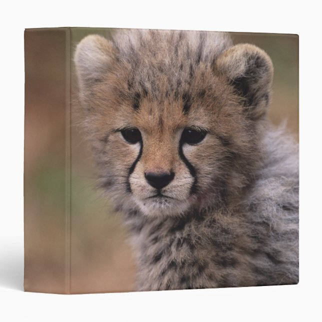 Masai Mara National Reserve Binder (Front/Spine)