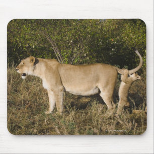 Masai Mara National Reserve, Kenya Mouse Pad