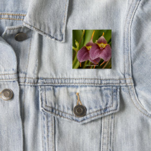 Masdevallia 2 Inch Square Button