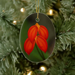 Masdevallia ignea Orchid Ceramic Ornament