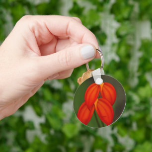 Masdevallia ignea Orchid Keychain