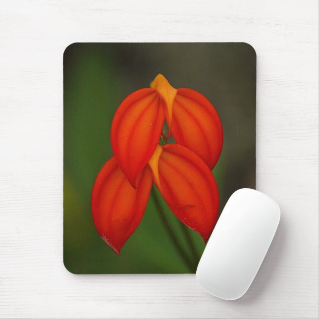Masdevallia ignea Orchid Mouse Pad (With Mouse)