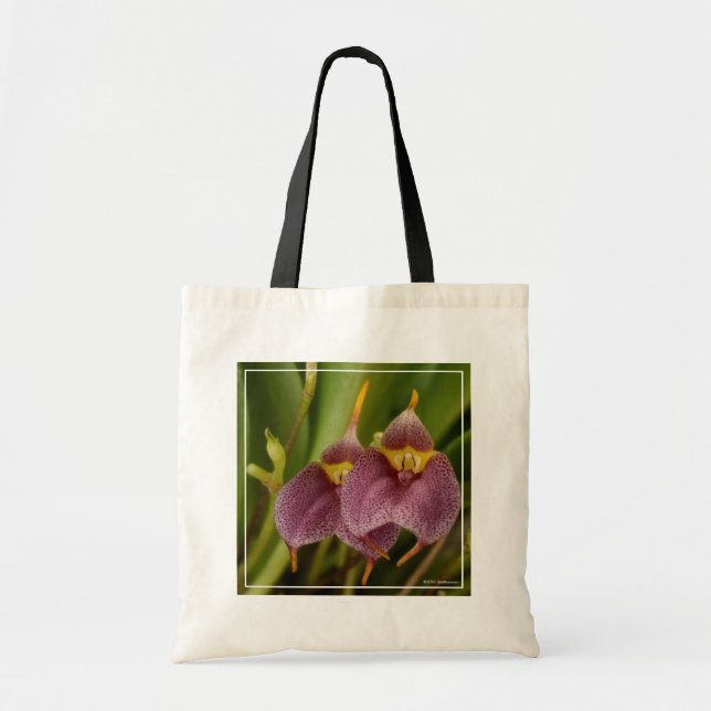 Masdevallia Tote Bag (Front)