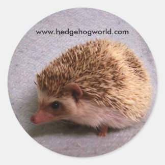 Masked bandit sticker