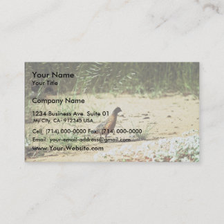 Masked Bobwhite Business Card