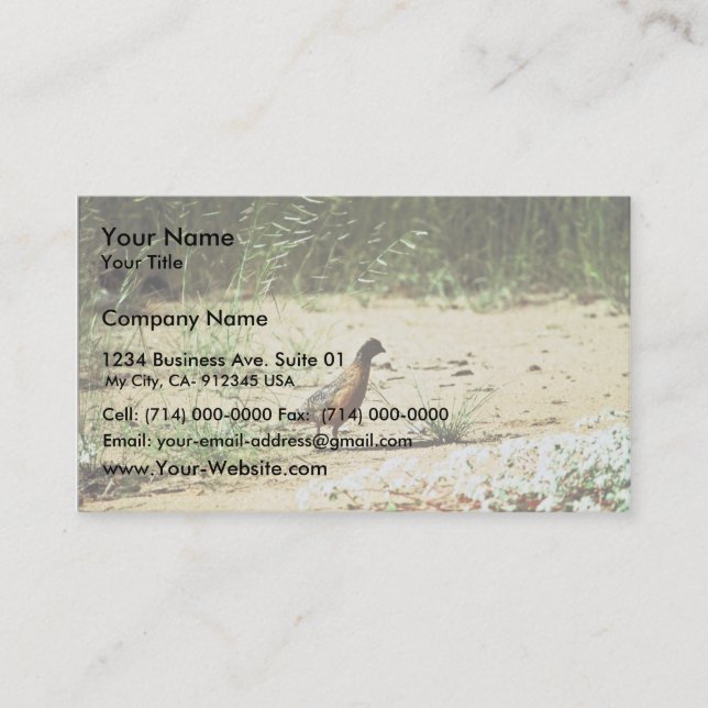 Masked Bobwhite Business Card (Front)