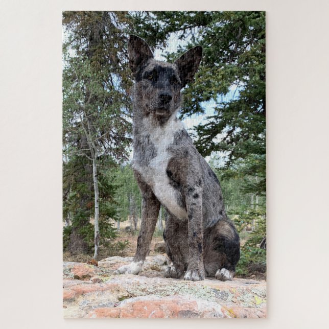 Masked Brindle Cattle Dog Observes Scene Jigsaw Puzzle (Vertical)