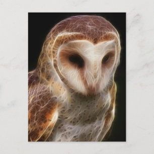 Masked Owl Fractal Postcard