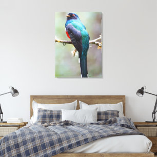 Masked Trogon Canvas Print