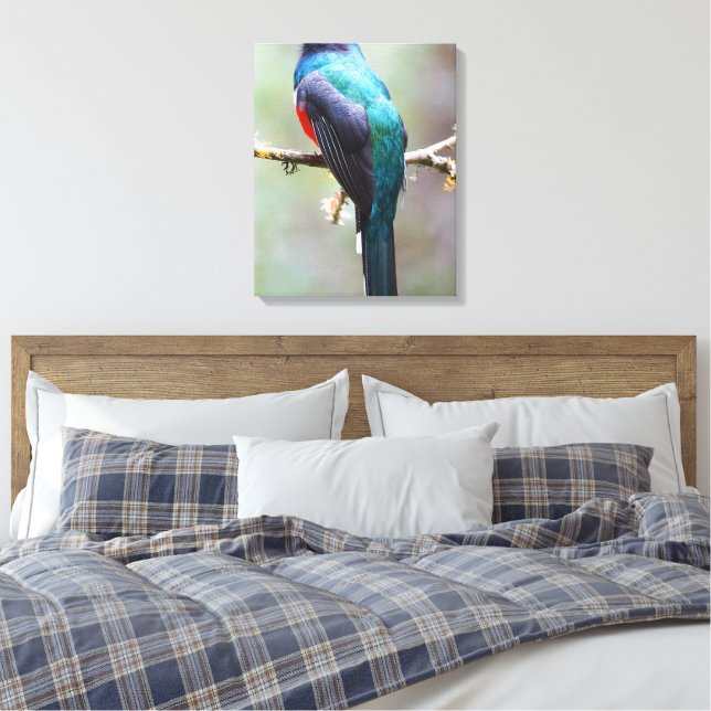 Masked Trogon Canvas Print (Insitu(Bedroom))