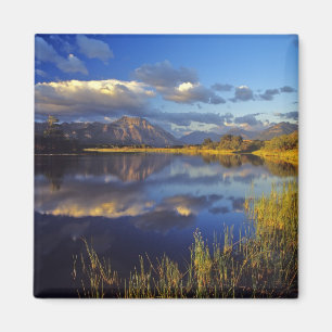 Maskinonge Lake in Waterton Lakes National Park 3 Magnet