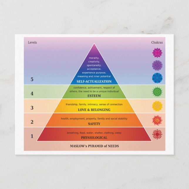 Maslow's Pyramid of Needs Diagram / Chart Postcard (Front)