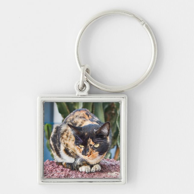 Maspalomas Cat Keychain (Front)
