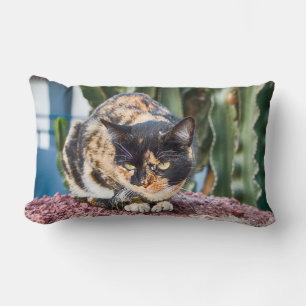 Maspalomas Cat Lumbar Pillow