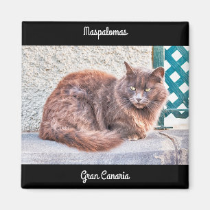 Maspalomas Cat Magnet