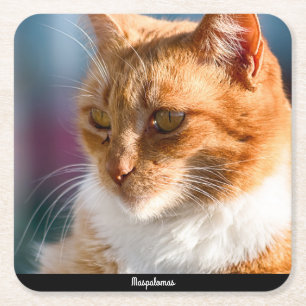 Maspalomas Cat Square Paper Coaster