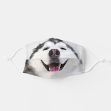 Chien de Husky