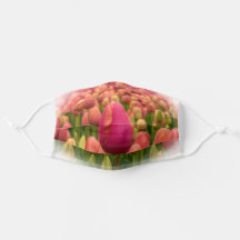 Tulipes