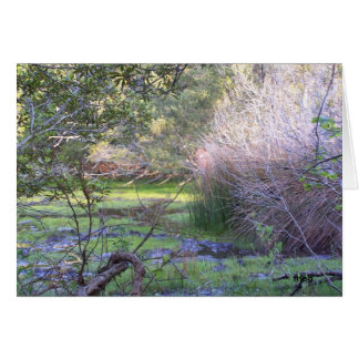 Masquer et rechercher