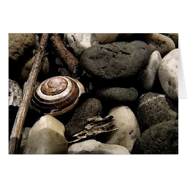 Masquer et rechercher (Devant Horizontal)