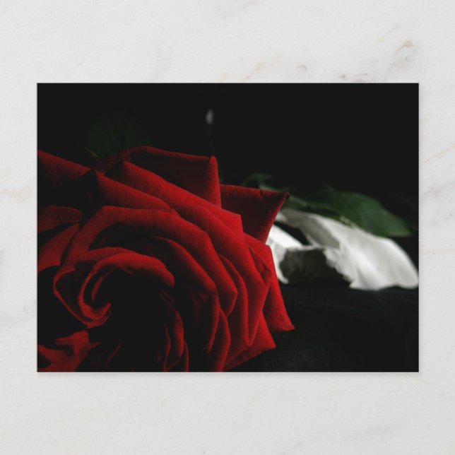 Masquerade Postcard (Front)