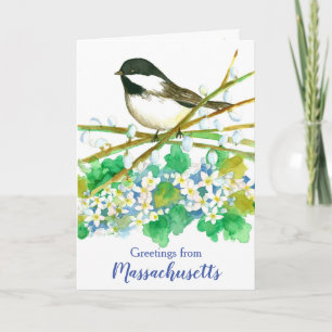 Massachusetts Chickadee Bird State Greeting Card