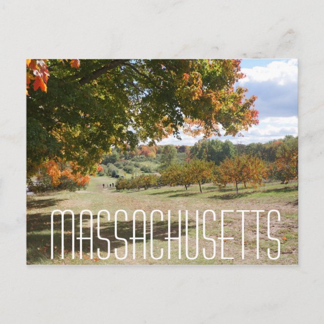 Massachusetts fall foliage tree leaves post card (Front)