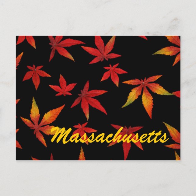 Massachusetts Feuilles Automne Carte Postale (Devant)