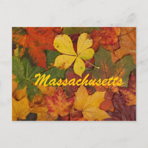 Massachusetts Feuilles Automne Carte Postale