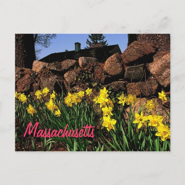Massachusetts Postcard (Front)