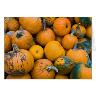 Massachusetts, Salisbury, citrouilles, automne