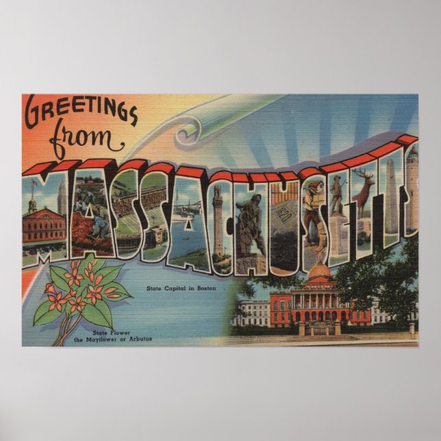 Massachusetts (State Capital/Flower) Poster (Front)