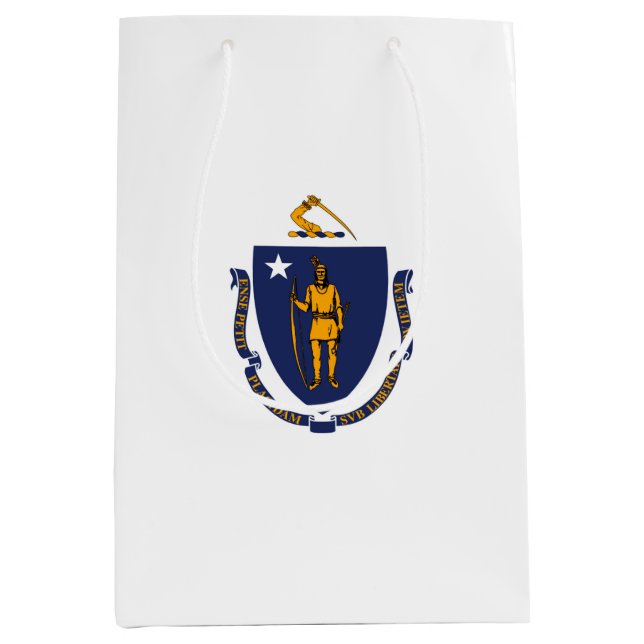 Massachusetts State Flag Design Medium Gift Bag (Front)
