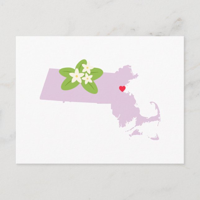 Massachusetts State Postcard (Front)