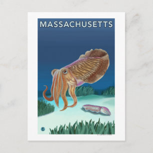 MassachusettsCuttlefish Scene Postcard