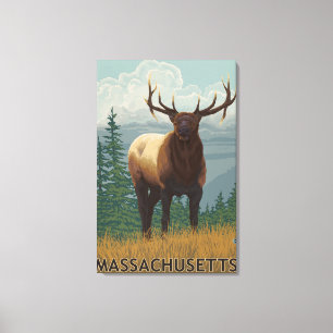 MassachusettsElk Scene Canvas Print