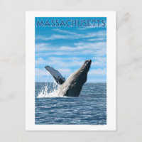MassachusettsHumpback Whale Scene