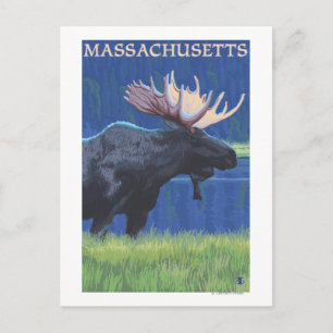 MassachusettsMoose in the Moonlight Postcard