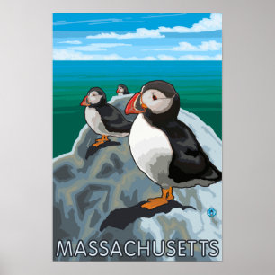 MassachusettsPuffins Scene Poster