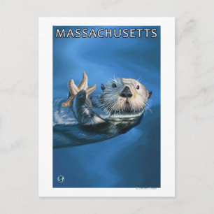 MassachusettsSea Otter Scene Postcard