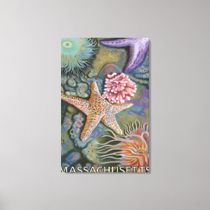 MassachusettsTidepool Scene Canvas Print