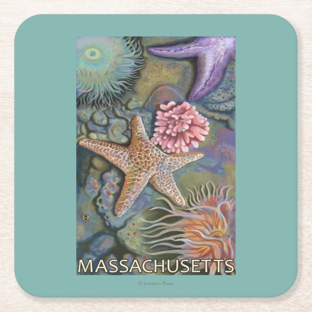 MassachusettsTidepool Scene Square Paper Coaster (Front)