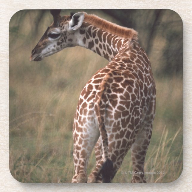 Massai Giraffe 2 Coaster (Front)