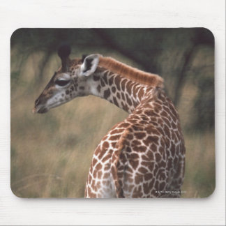 Massai Giraffe 2 Mouse Pad