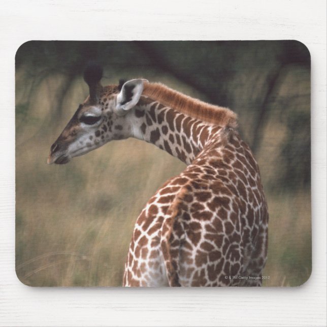 Massai Giraffe 2 Mouse Pad (Front)