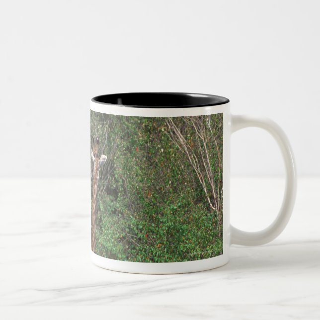 Massai Giraffe 3 Two-Tone Coffee Mug (Right)